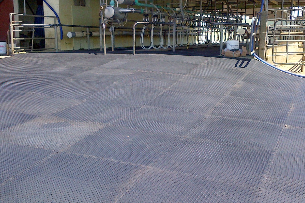 Doublestud mat on dairy yard