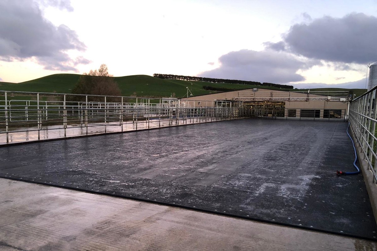 dairy yards with rubber mats
