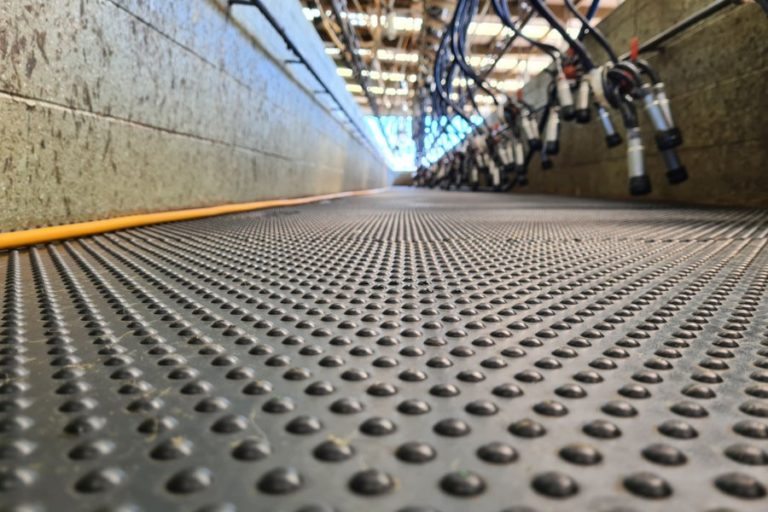 DuoMat installed in a dairy pit