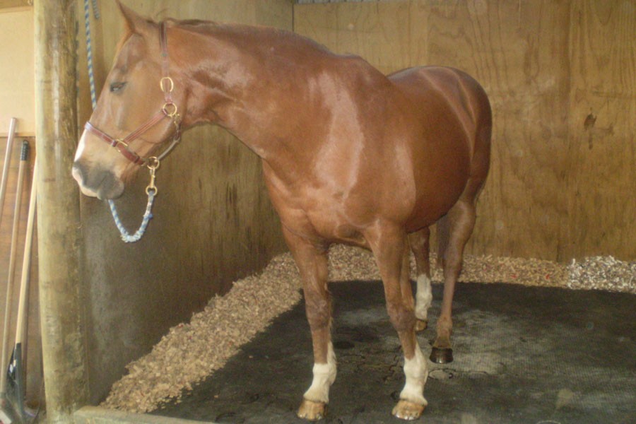 DuoMat Pallet Deal - Image 4