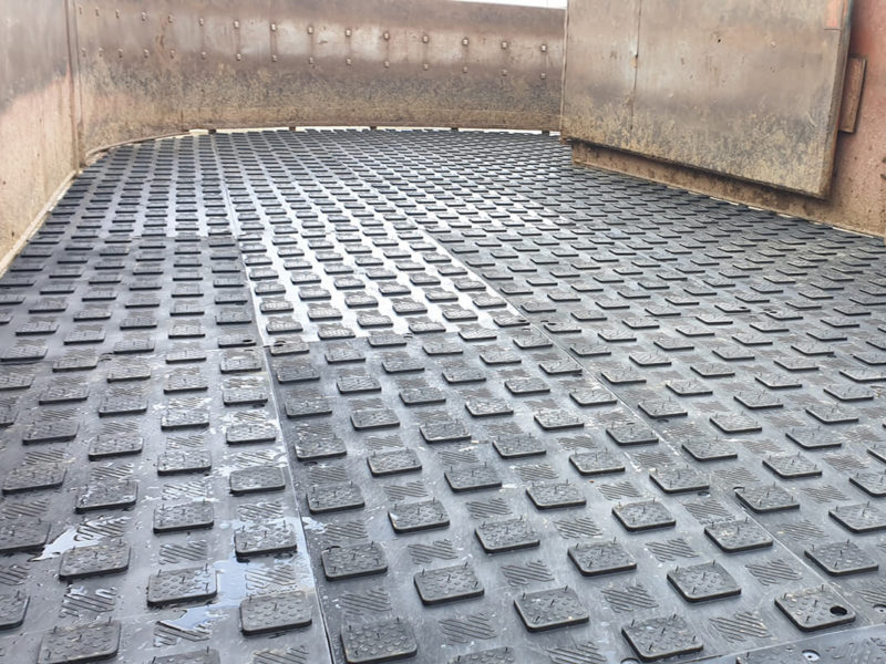 youngstar installed at a beef feedlot