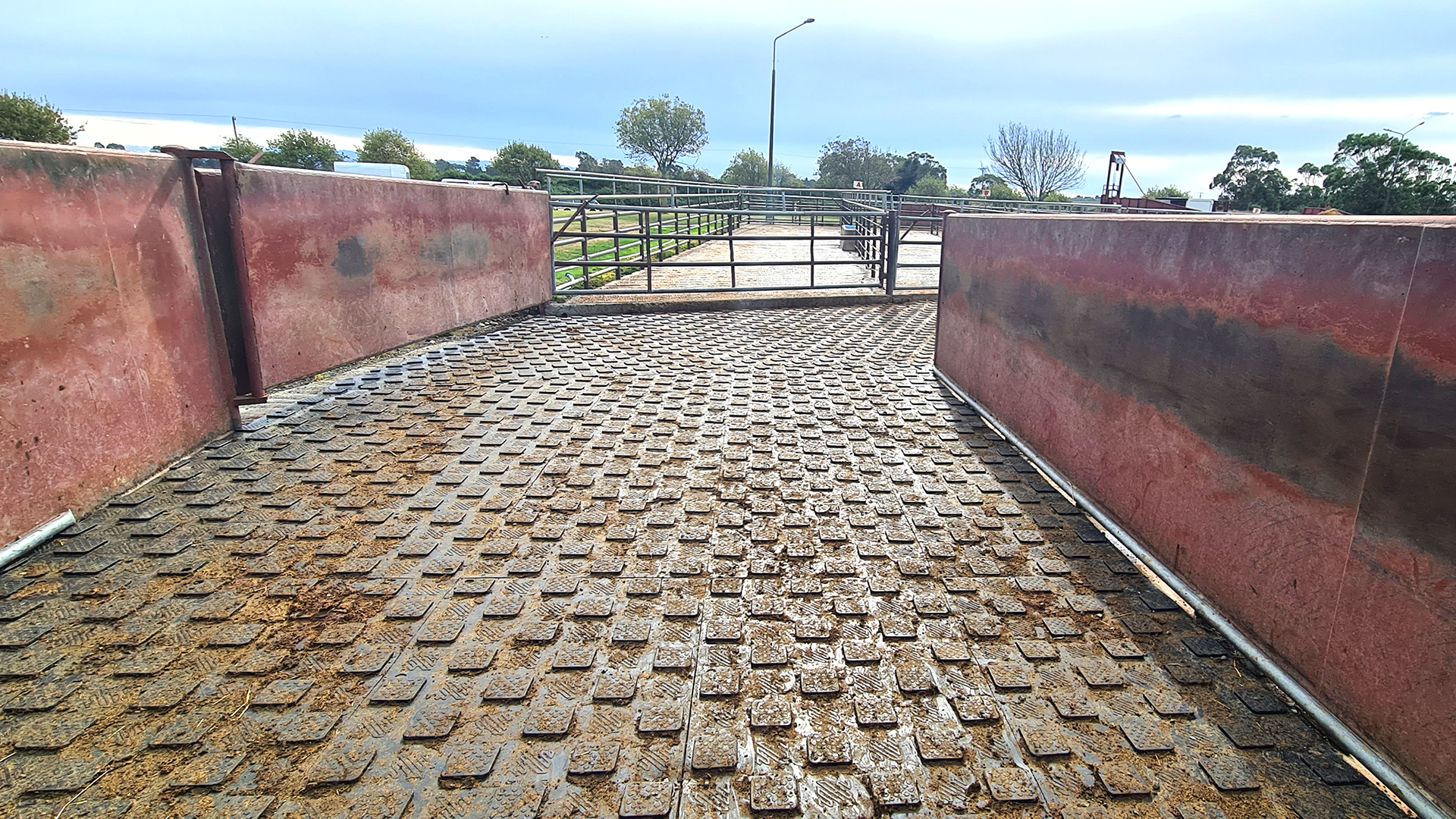 YoungStar™ 20mm Mat - Image 6