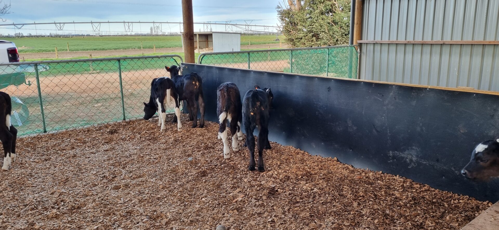 FlexiShield Plastic Barrier - Image 4