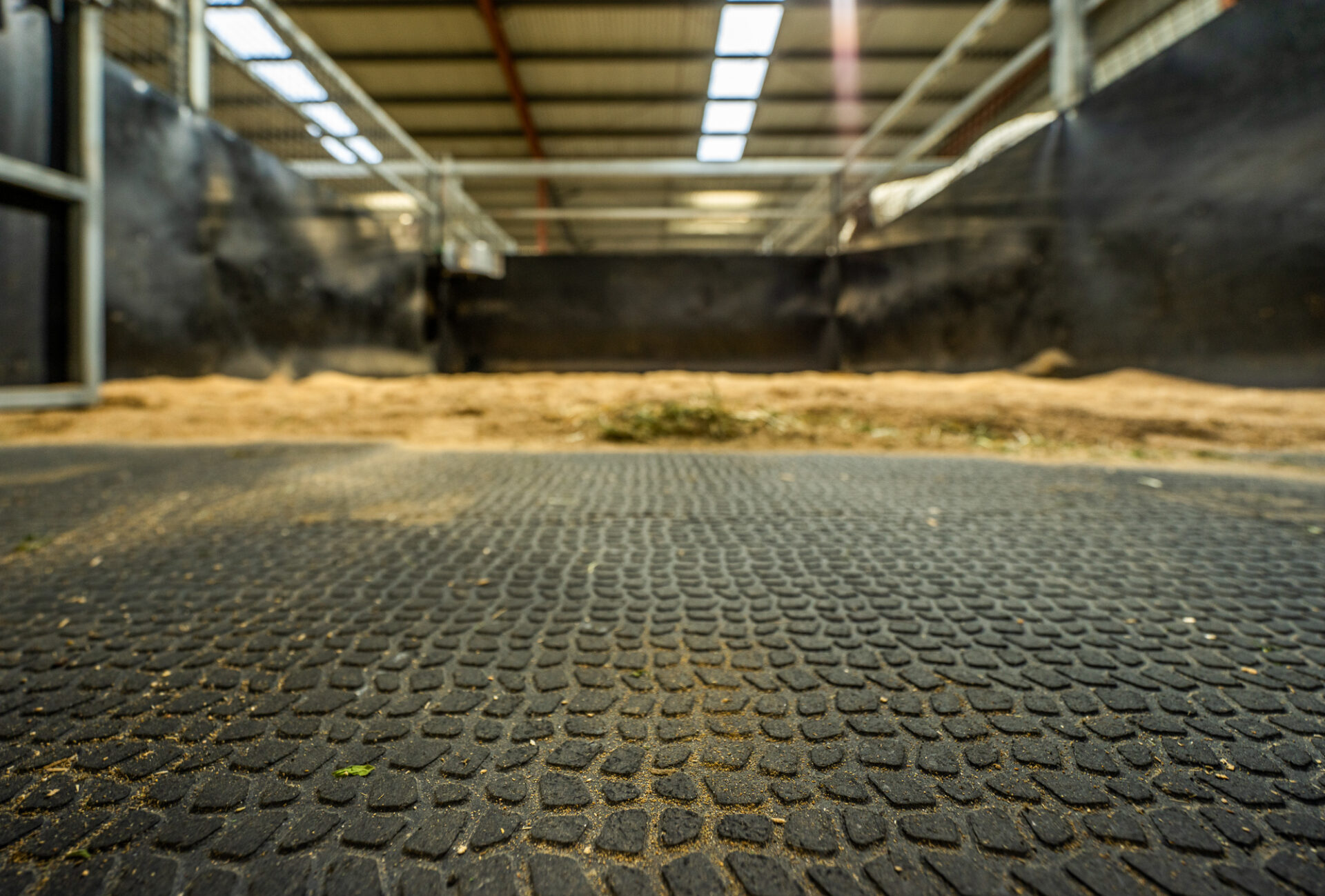 Kura for Horses - Image 6