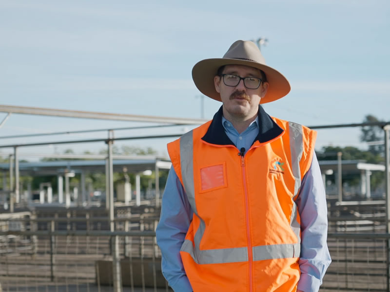 Harry Brennan - Dubbo saleyard manager