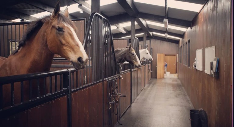 Almaree Park stables rubber mats