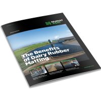 BRDMattng_Render_White_BckGrnd